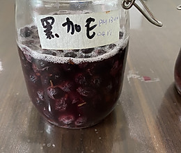 蔓越莓 黑加侖酵母液的做法