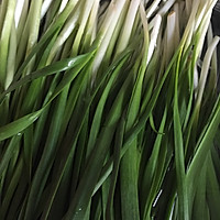 小白菜虾仁饺子的做法图解3