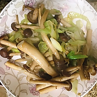 能量午餐-茶树菇炒牛肉的做法图解4