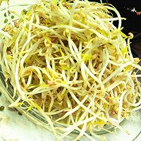 自发绿豆芽的做法图解8