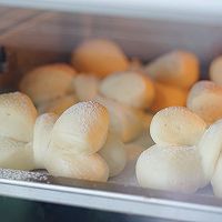 蝴蝶结面包的做法图解9