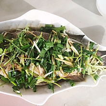 清蒸鲈鱼