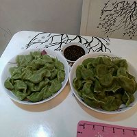 菠菜汁饺子的做法图解19