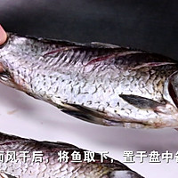 鲫鱼炖豆腐又便宜又好吃,美味营养两不误的做法图解2