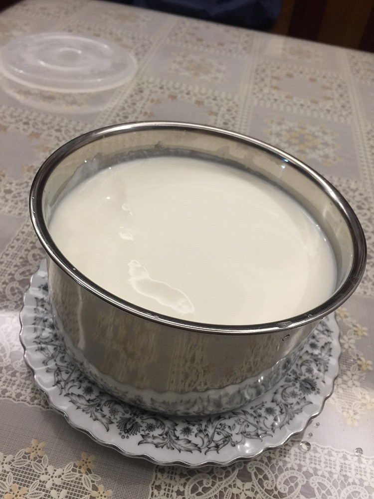 自制老酸奶的做法