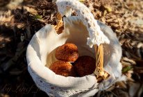 蘑菇馒头的做法