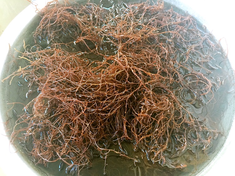凉拌龙须菜的做法图解2