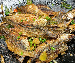 香煎刁子鱼，咸辣焦香，连鱼骨都能吃的做法