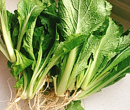 小白菜酱肉包的做法