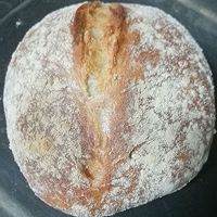 全麦面包(20%全麦)的做法图解13