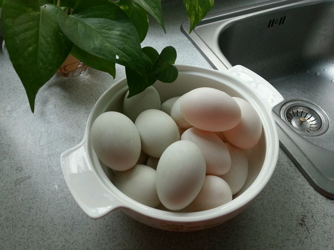 【腌蛋】2种方法，3种蛋，6种效果，保证个个出油，总有适合你的蛋_哔哩哔哩_bilibili