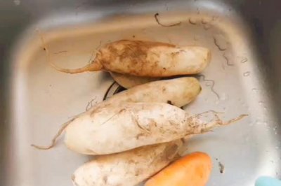 温州灯盏糕