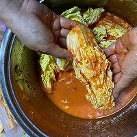 泡菜的做法图解4