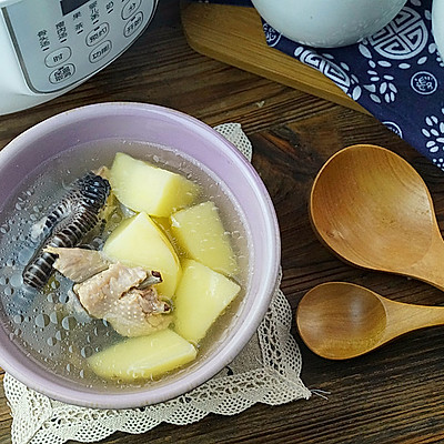 土豆炖鸡爪