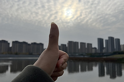 黄花菜酸汤