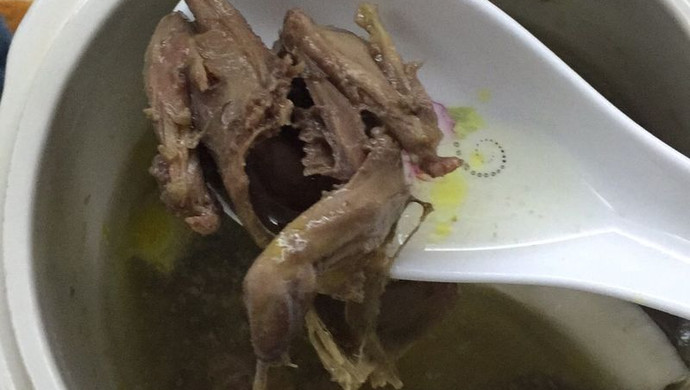 椰子炖汤 炖鸽子 炖鸟