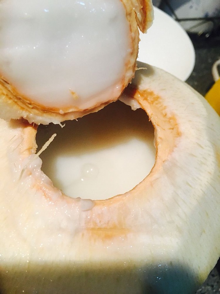 自制牛奶椰子冻的做法