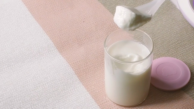 视频|自制甜酸奶的做法