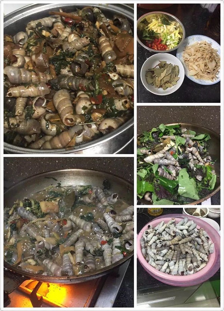 炒丁螺的做法