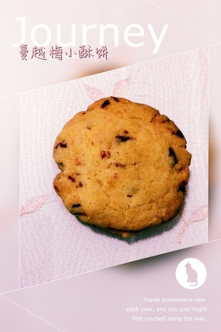 蔓越梅小酥饼的做法