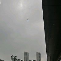 凉拌空气的做法图解1