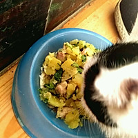 猫饭（不是日本猫饭哦，是猫咪吃的猫饭）的做法图解4