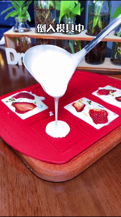 DIY“冻干”草莓巧克力的做法图解5