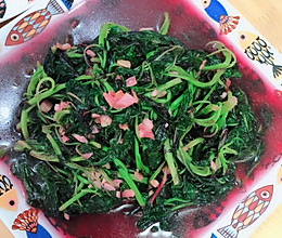 上汤蒜泥哈菜（苋菜）的做法