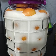 咸金桔