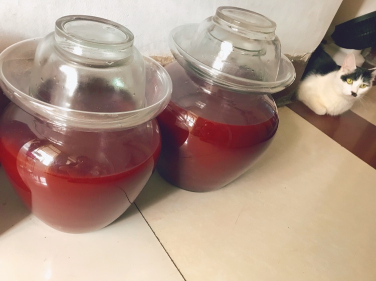 杨梅酒 果酒酿制过程的做法