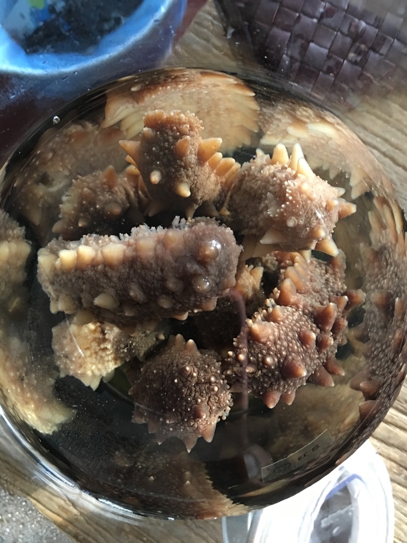 泡发海参的做法图解7