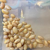 豇豆包子-干菜角子的做法图解3