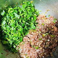 #最是家乡味 冬至大如年#羊肉香菜馅儿饺子的做法图解7