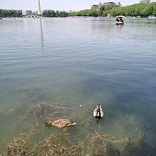 酒精湿巾