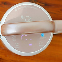 葡萄干豆浆冰棍的做法图解2