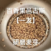 手工百香果古斯（酸啤）