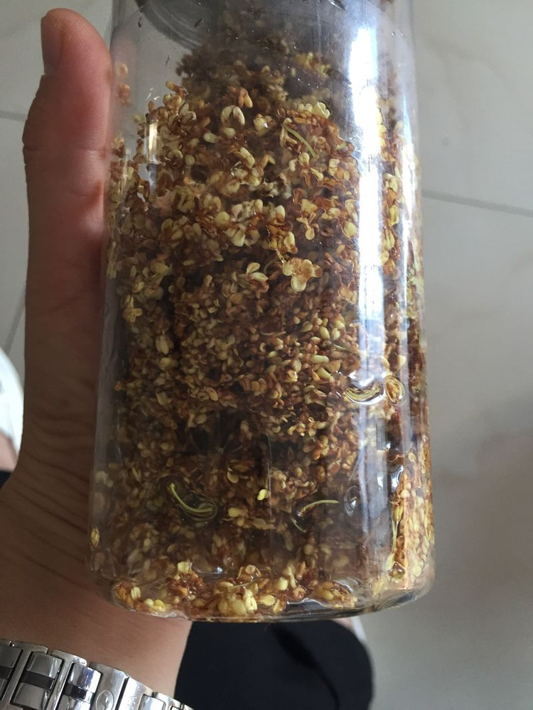 桂花蜜的做法