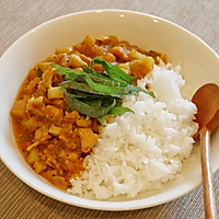 番茄鸡肉咖喱的做法图解4