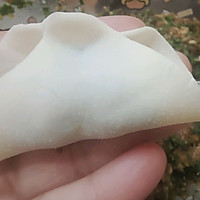 贴秋膘之立秋饺子的做法图解15