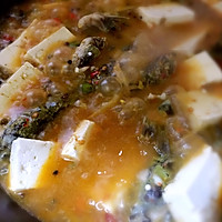 鲜椒黄辣丁炖豆腐的做法图解5