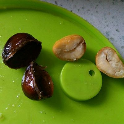 微波炉 糖炒栗子 10分钟搞定