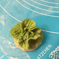 翡翠白菜饺的做法图解4