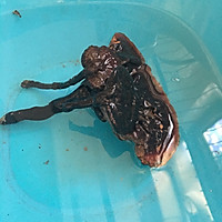 冬日心灵灵芝虫草花鸽子汤的做法图解3