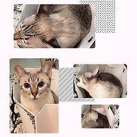喵喵家私房红豆莲子百合莓汤的做法图解7