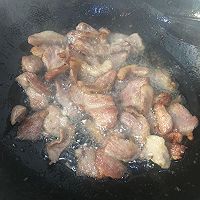 萝卜粉条肉的做法图解5