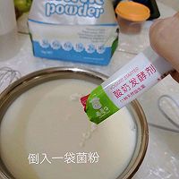 OZ COW自制酸奶的做法图解4