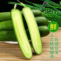 响油黄瓜卷 —— 黄瓜脆鲜的做法图解1