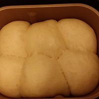 东菱热旋风之一键红薯面包的做法图解7