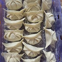 白菜猪肉饺的做法图解5