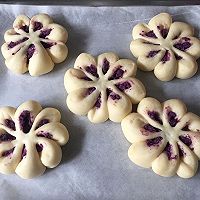 紫薯菊花面包的做法图解9